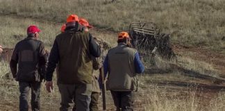 Via libera alla modifica della legge sulla caccia in Toscana