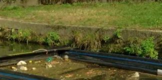 Un “Po d’amare”, a Torino raccolti solo 63 kg di rifiuti in 4 mesi