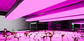 Nasce l’orto hi-tech per coltivare sulla Luna e ai Poli