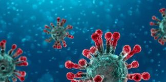 Coronavirus, in Calabria nessun nuovo contagio