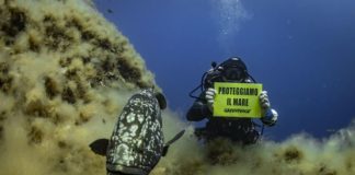 Greenpeace, parte nel Tirreno il tour “Difendiamo il mare”