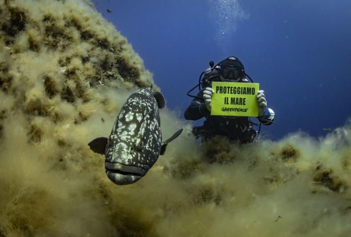 Underwater Banner at Elba Island