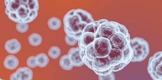 Covid-19, una nuova tecnologia elimina il virus dai tessuti