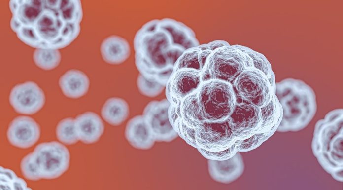 Covid-19, una nuova tecnologia elimina il virus dai tessuti