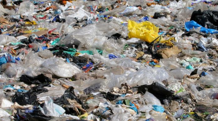 Corepla, il riciclo degli imballaggi di plastica ha tenuto nel lockdown