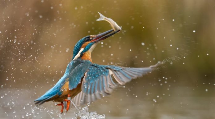 Obiettivo Terra 2020, scatti per sostenere le bellezze dell’Italia