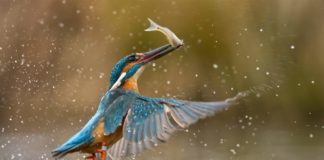 Obiettivo Terra 2020, scatti per sostenere le bellezze dell’Italia