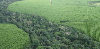 P&G, nel prossimo decennio tutte le attività a emissioni zero