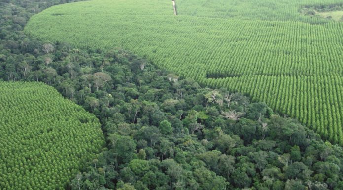 P&G, nel prossimo decennio tutte le attività a emissioni zero