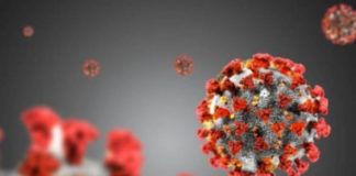 Coronavirus, in Piemonte 7 nuovi contagi e nessun decesso