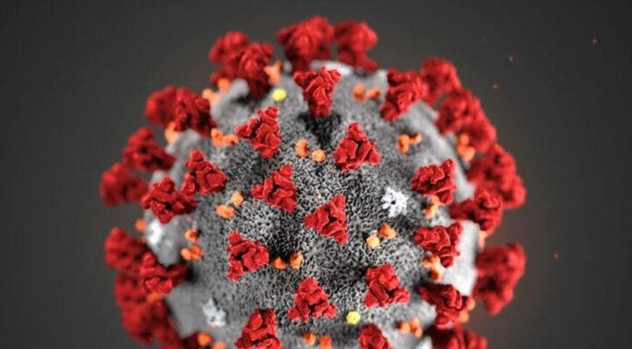 Coronavirus, i contagi sul lavoro sfiorano quota 50 mila