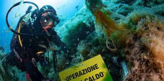 Anche nei nostri mari segnali dei cambiamenti climatici
