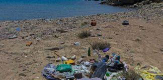 Tre tonnellate di rifiuti nelle reti dei pescatori a Porto Garibaldi