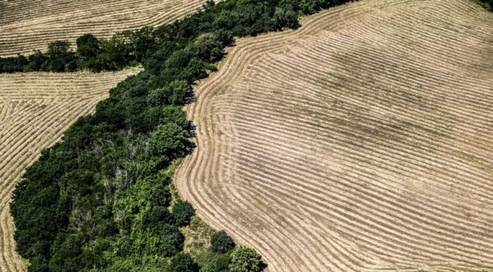 Cia “Subito legge su consumo di suolo, agricoltura sempre più a rischio”
