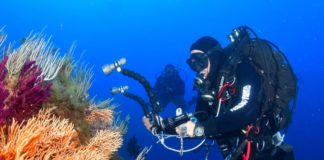 Acque marine più trasparenti dopo il lockdown