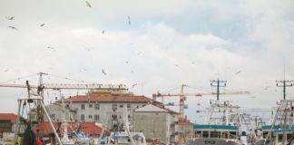 Coronavirus, il Veneto stanzia 8 milioni per aiutare le imprese ittiche