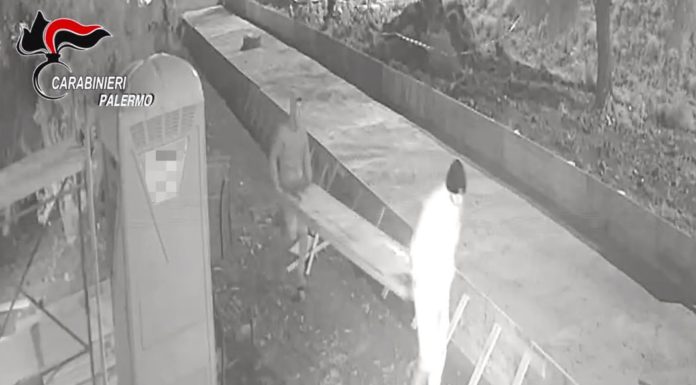 Furti ed estorsioni, 24 arresti tra Sicilia, Puglia ed E.Romagna