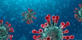 Coronavirus, in Campania 19 nuovi casi e nessun decesso