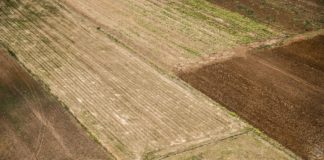 Al via i campi estivi nei beni confiscati alla mafia