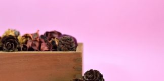 Come profumare casa Come profumare casa