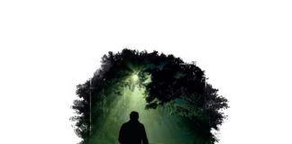 “Le luci della strada”, il nuovo libro di Vetere