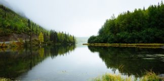 Al via 12a edizione concorso dedicato alle aree protette d’Italia