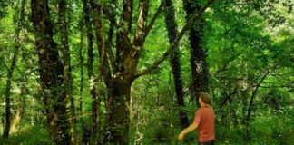 Riattivati i monitoraggi al Parco dei Castelli Romani