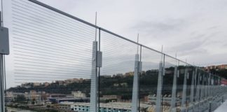 Il ponte di Genova è bird-friendly