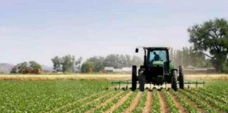 Agricoltura, intesa tra Lazio e Campania su Consorzio Aurunco