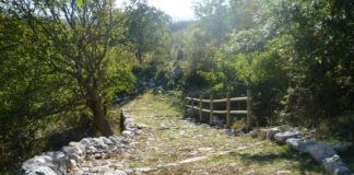 Nel Gargano c’è una foresta in attesa di essere piantata