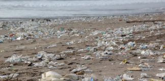 Protocollo ministero Ambiente-Corepla contro marine litter