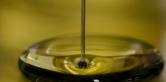 Bellanova “20 mln per acquisto olio oliva 100% italiano”