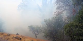 Incendi, elicotteri e Canadair in azione nel Grossetano