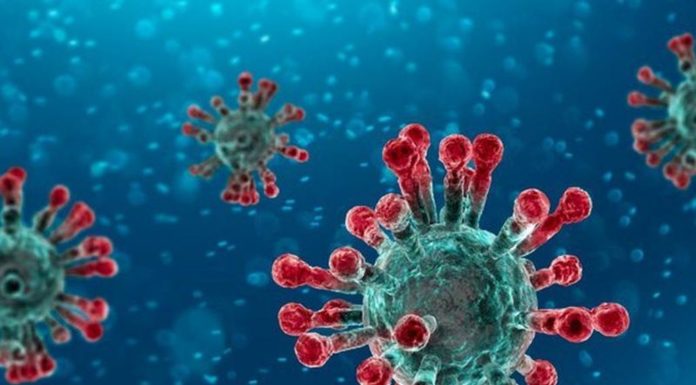 Coronavirus, 3 mila volontari per la sperimentazione del vaccino