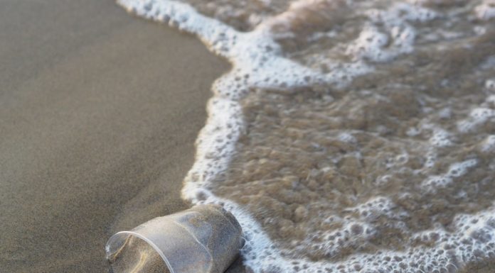 MinAmbiente e Corepla insieme contro plastica in Aree Marine Protette