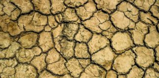 Clima, il 2020 è l’anno più bollente di sempre