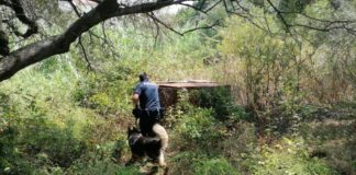 Il papà di Gioele “Dubbi sui metodi adottati per le ricerche”