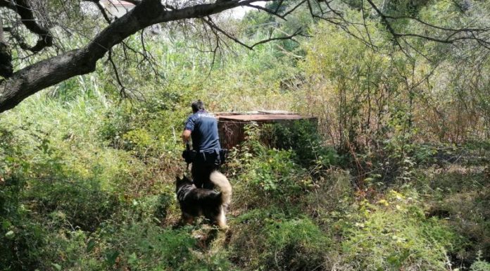 Il papà di Gioele “Dubbi sui metodi adottati per le ricerche”