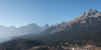 Trentino, catturato orso dopo l’aggressione a un carabiniere