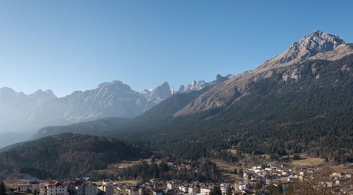 Trentino, catturato orso dopo l’aggressione a un carabiniere
