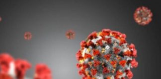 Coronavirus, al via allo Spallanzani test vaccino sull’uomo