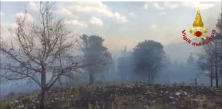 Incendi, 34589 interventi dei vigili del fuoco dal 15 giugno