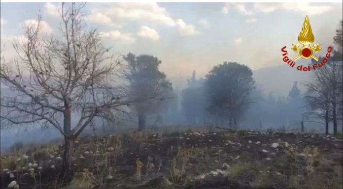 Incendi, 34589 interventi dei vigili del fuoco dal 15 giugno