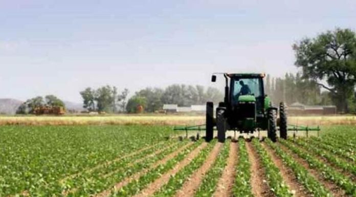 Caporalato in azienda agricola nel Milanese, 7 denunciati