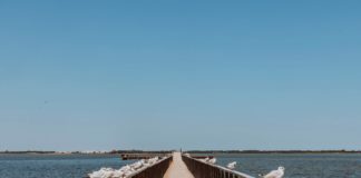 Al via “Rivedere il blu”, iniziativa all’insegna del turismo italiano