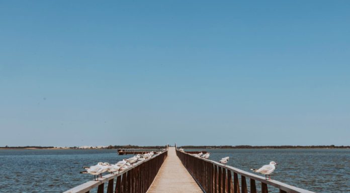 Al via “Rivedere il blu”, iniziativa all’insegna del turismo italiano