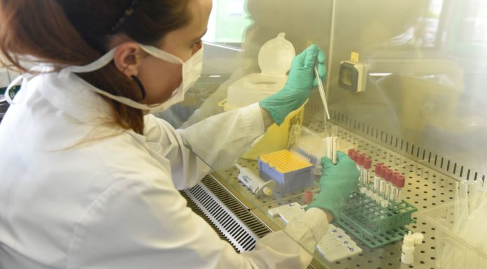 Coronavirus, 17 nuovi positivi nelle Marche