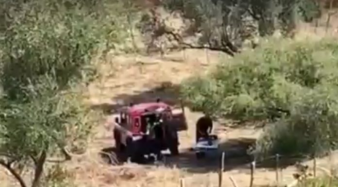 Dj morta, nuovo sopralluogo per ricerca altri resti di Gioele