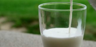 Latte ovino e caprino, nasce sistema regionale rilevazione in Sardegna