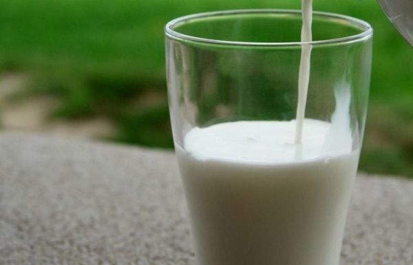 Latte ovino e caprino, nasce sistema regionale rilevazione in Sardegna